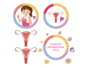 What Is the Menstrual Cycle Easy Guide with Doctor Help Nearby-Revive Hospitals.
