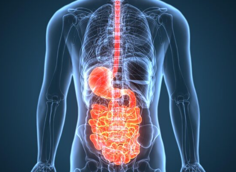 When should one see a gastroenterologist- ReviveHospitals