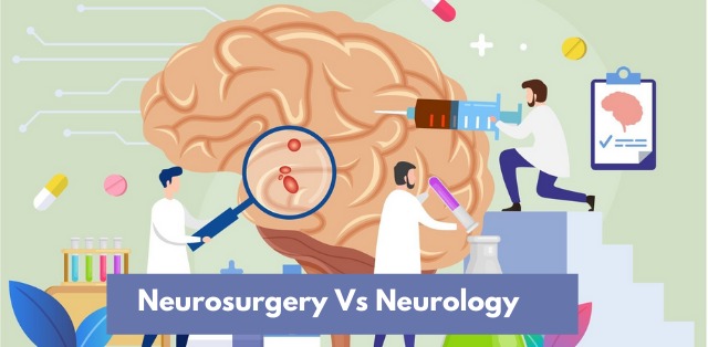 Difference Between Neurology and Neurosurgery Explained- Revive Hospitals